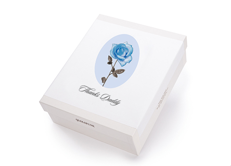 父の日限定掛け紙