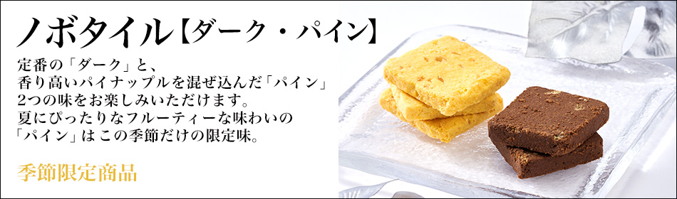 ノボタイルDP